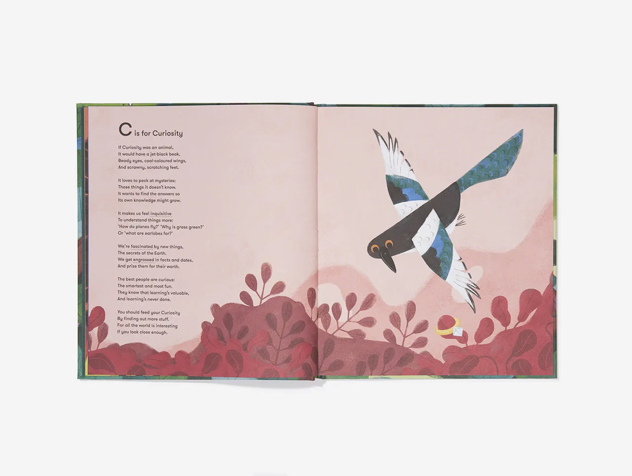 An Emotional Menagerie Book