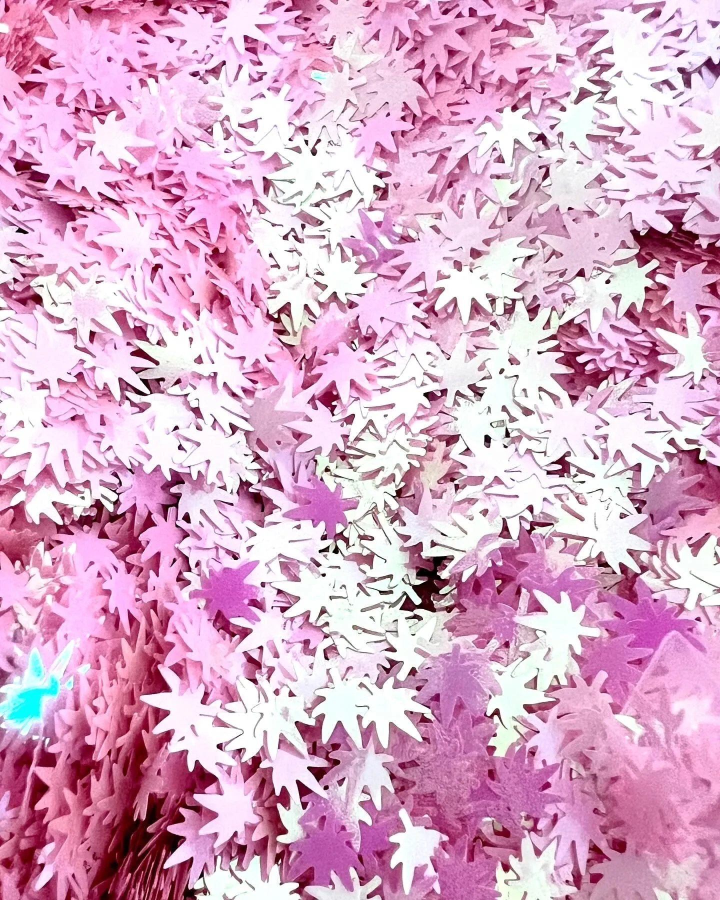 Boobies & Doobies Keychain Klutch! 🌸🌿✨