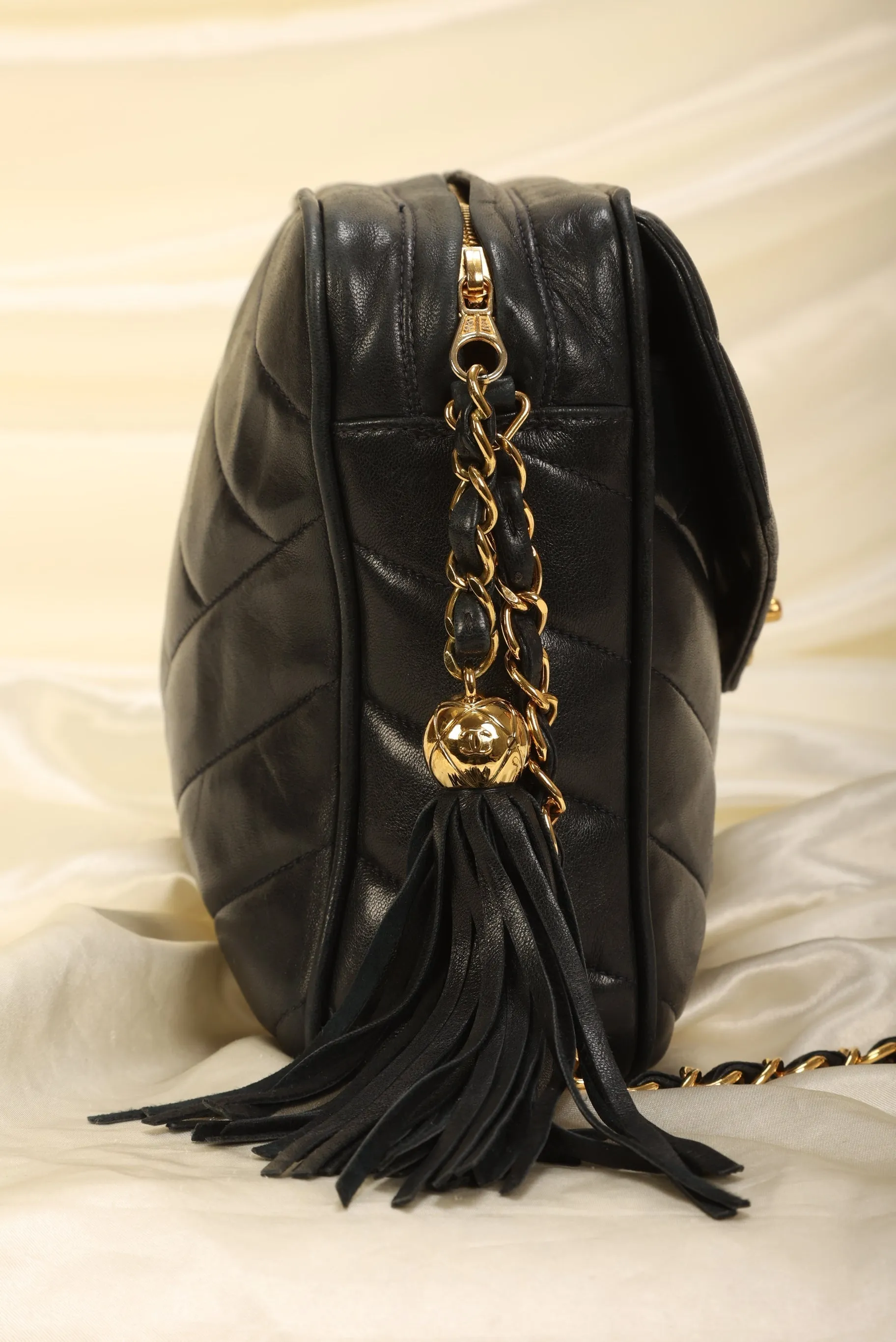 Chanel Lambskin Chevron Camera Bag