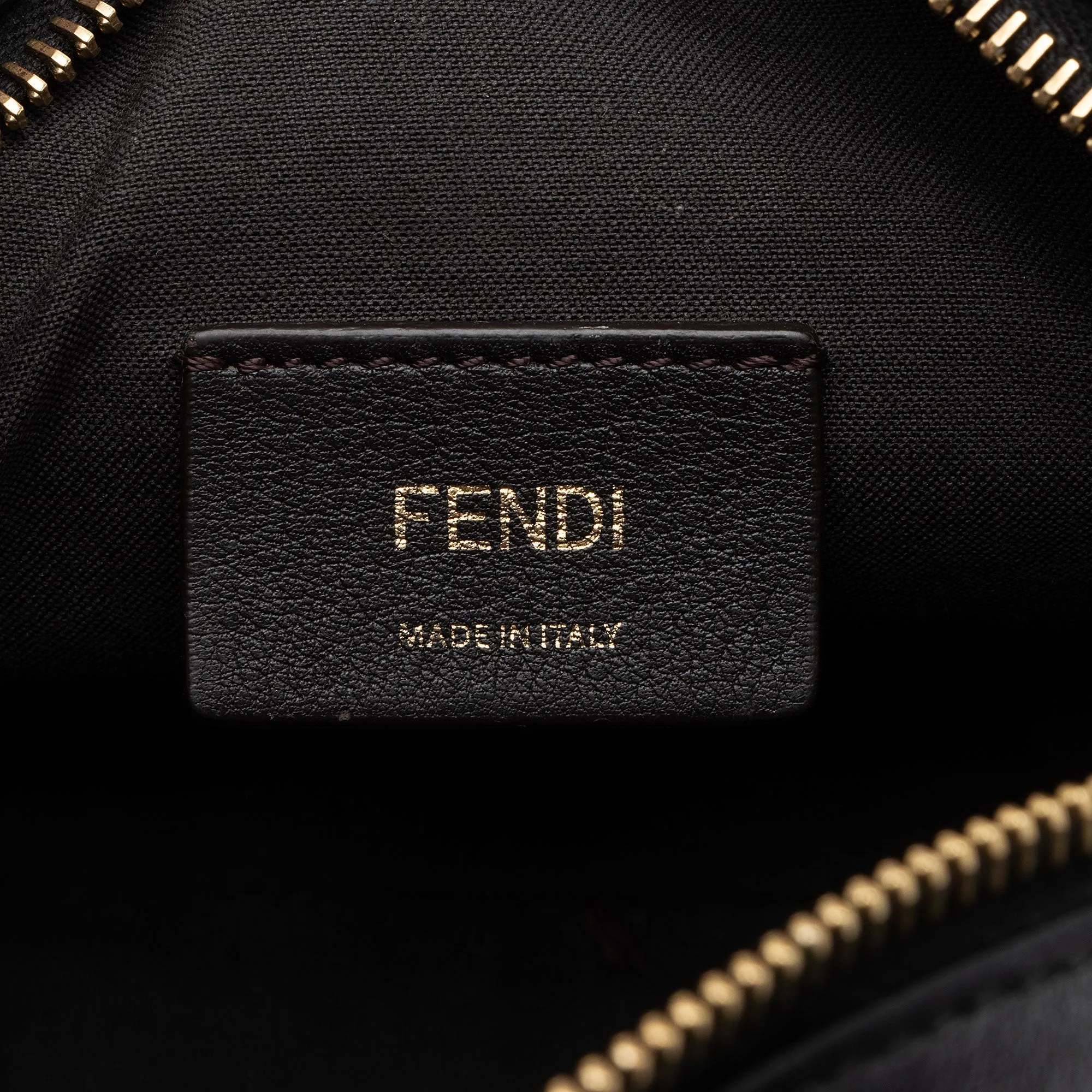 Fendi FF Coated Canvas 1974 Mini Camera Bag (SHF-MMT6uv)